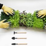 Huerto Ecológico