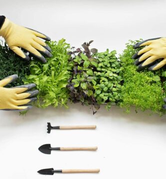 Huerto Ecológico