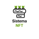 sistema nft