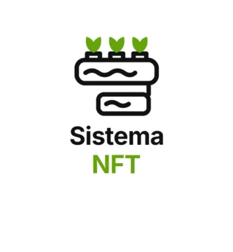 sistema nft